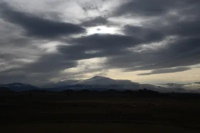 DSC_2609 (Large).JPG